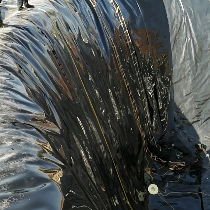 光面(糙面)土工膜与土体黏聚力实验