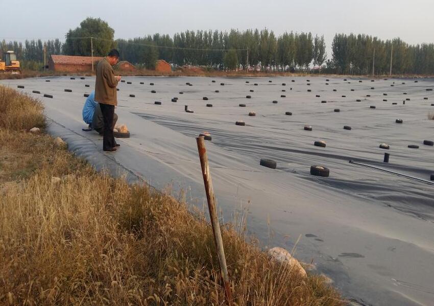 土工织物在防治渗透破坏方面的应用研究