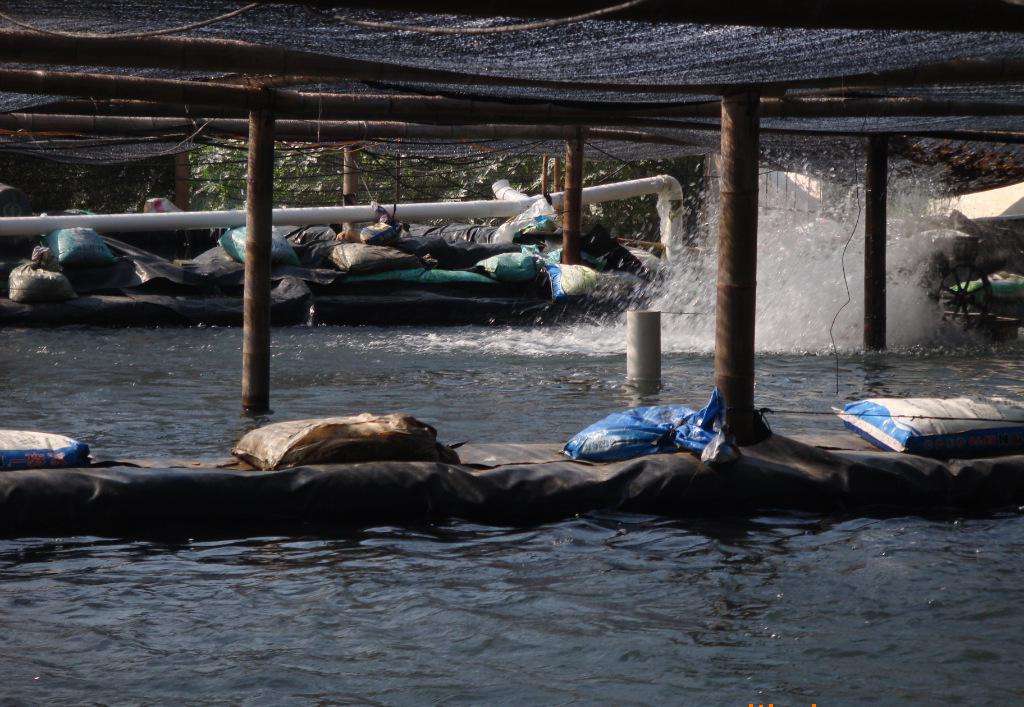 大型污水处理厂的水池结构设计要点