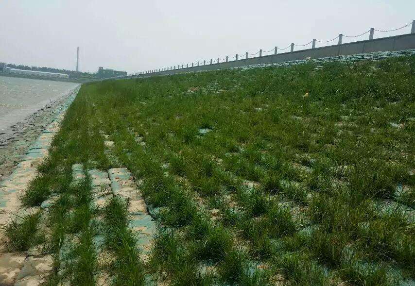 常用的海岛边坡修复技术有哪些?如何修复海岛边坡?