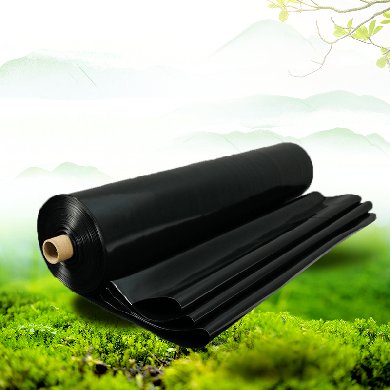 电商食品猕猴桃优惠满减活动合成商品主图.jpg 电商食品猕猴桃优惠满减活动合成商品主图.jpg